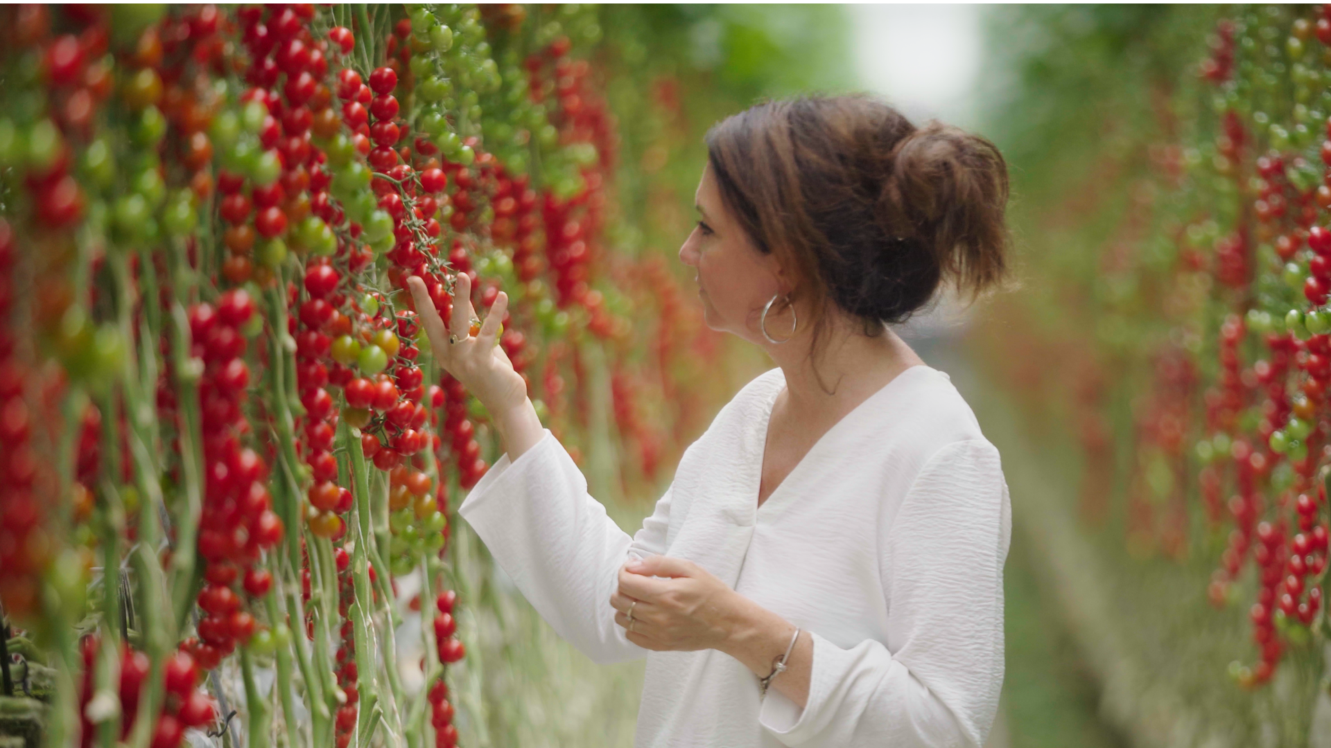 MIRADA_TOMATE_JOUNO_2025_1